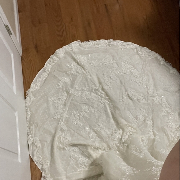 Elegant Ivory Lace Wedding Dress & Veil - Picture 4 of 4